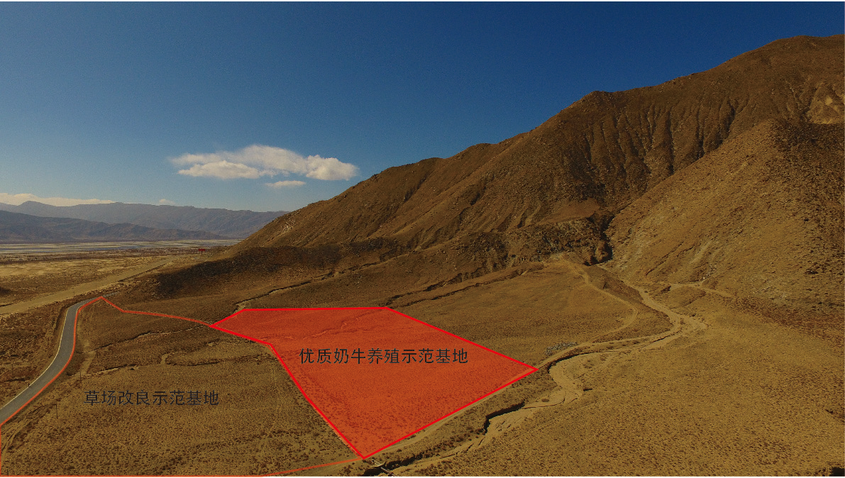 3377体育-全网最全最有态度的体育赛事直播平台