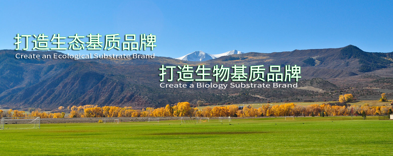 3377体育-全网最全最有态度的体育赛事直播平台