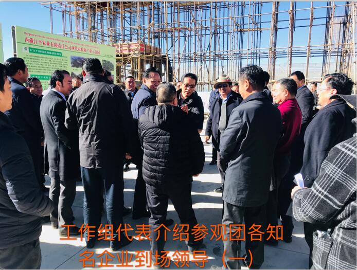3377体育-全网最全最有态度的体育赛事直播平台