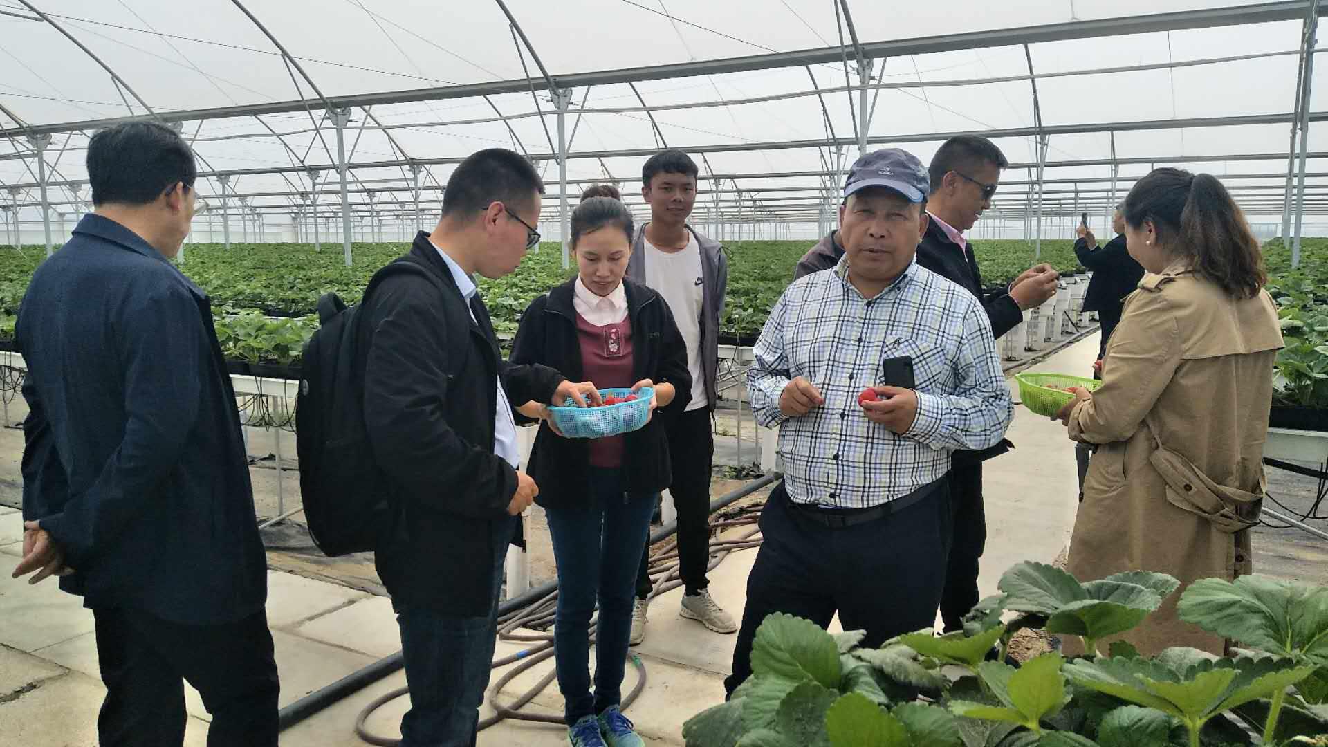 3377体育-全网最全最有态度的体育赛事直播平台
