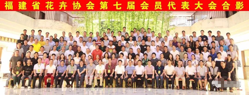 3377体育-全网最全最有态度的体育赛事直播平台