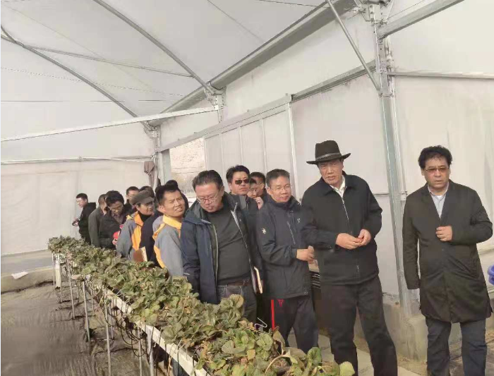 3377体育-全网最全最有态度的体育赛事直播平台