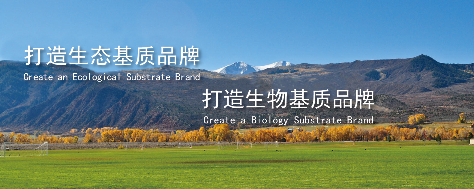 3377体育-全网最全最有态度的体育赛事直播平台