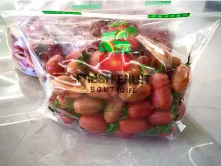 3377体育-全网最全最有态度的体育赛事直播平台