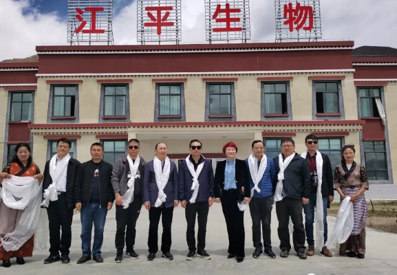 3377体育-全网最全最有态度的体育赛事直播平台