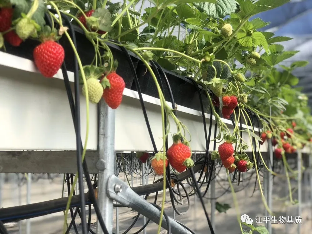 3377体育-全网最全最有态度的体育赛事直播平台