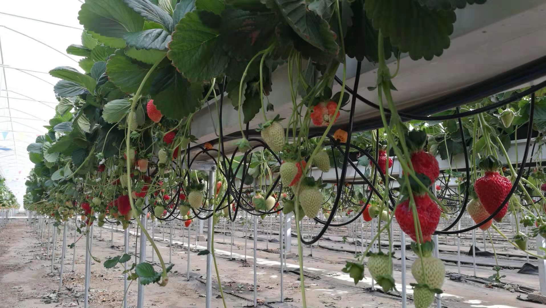 3377体育-全网最全最有态度的体育赛事直播平台