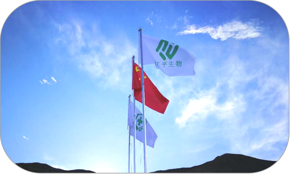 3377体育-全网最全最有态度的体育赛事直播平台