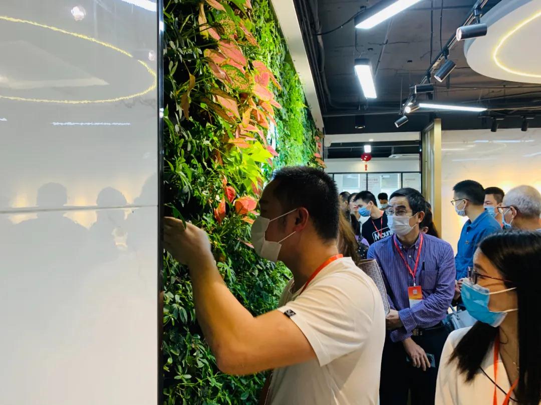 3377体育-全网最全最有态度的体育赛事直播平台