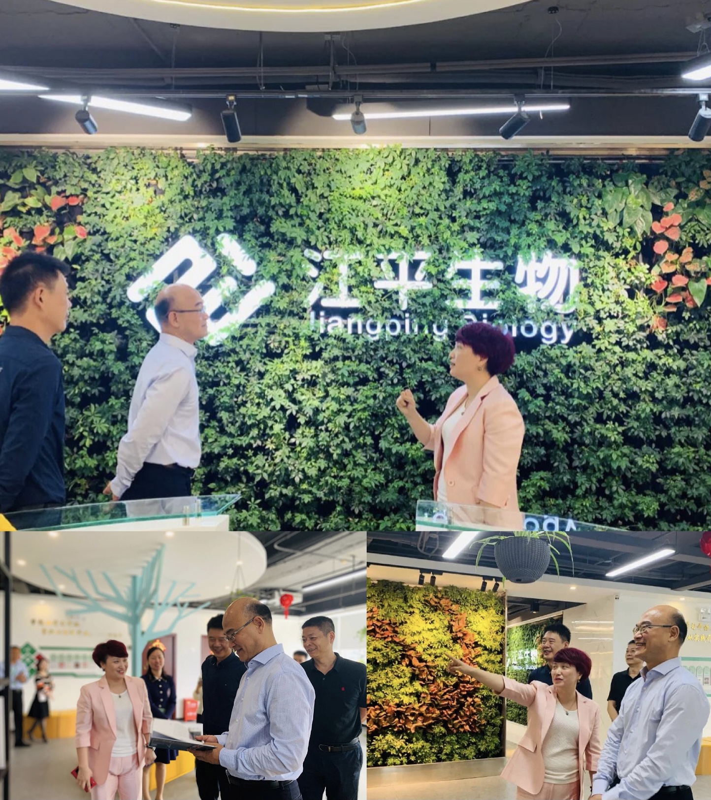 3377体育-全网最全最有态度的体育赛事直播平台