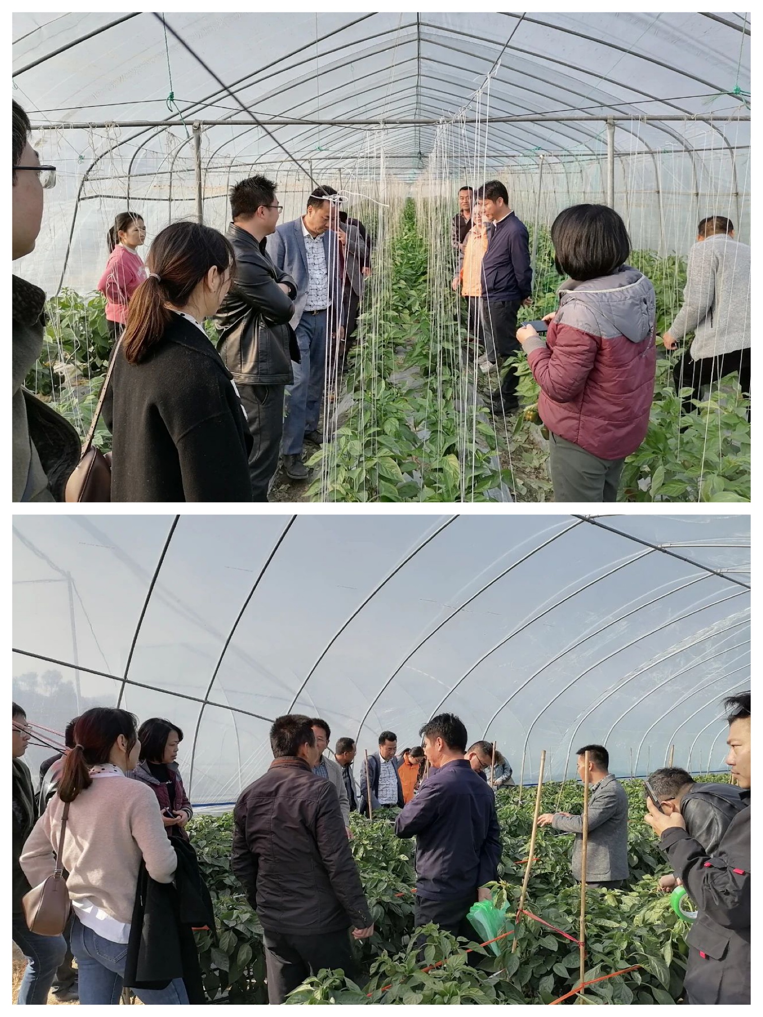 3377体育-全网最全最有态度的体育赛事直播平台