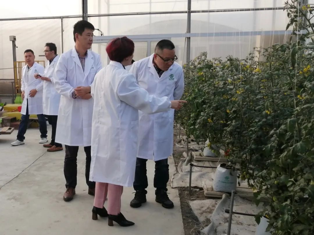 3377体育-全网最全最有态度的体育赛事直播平台