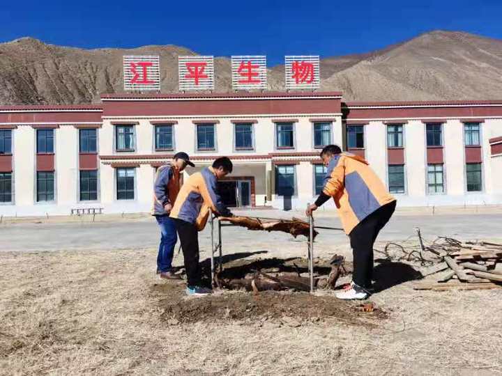 3377体育-全网最全最有态度的体育赛事直播平台