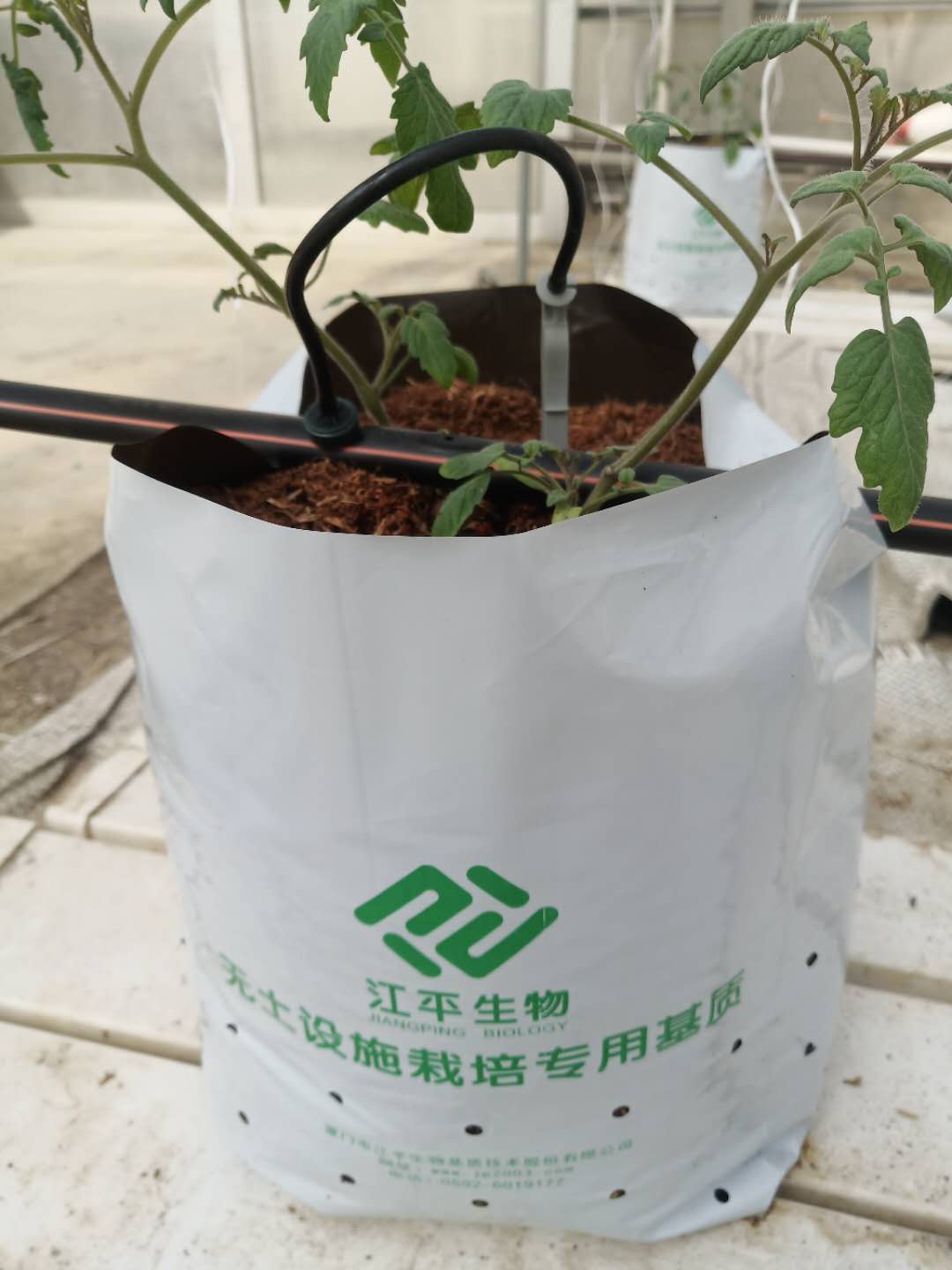 3377体育-全网最全最有态度的体育赛事直播平台
