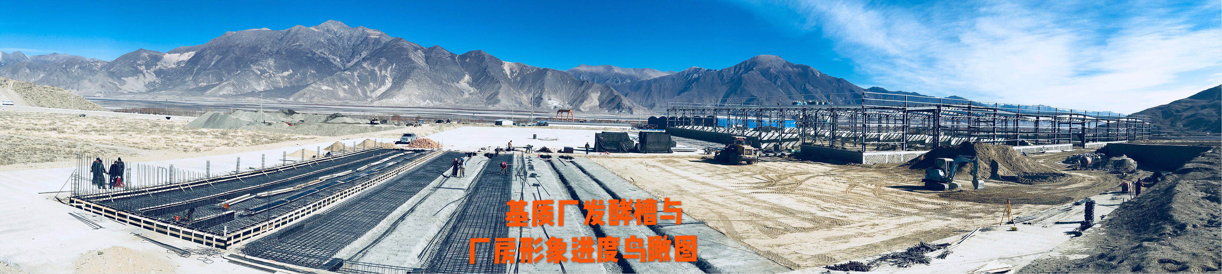3377体育-全网最全最有态度的体育赛事直播平台