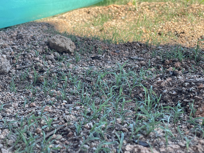 3377体育-全网最全最有态度的体育赛事直播平台