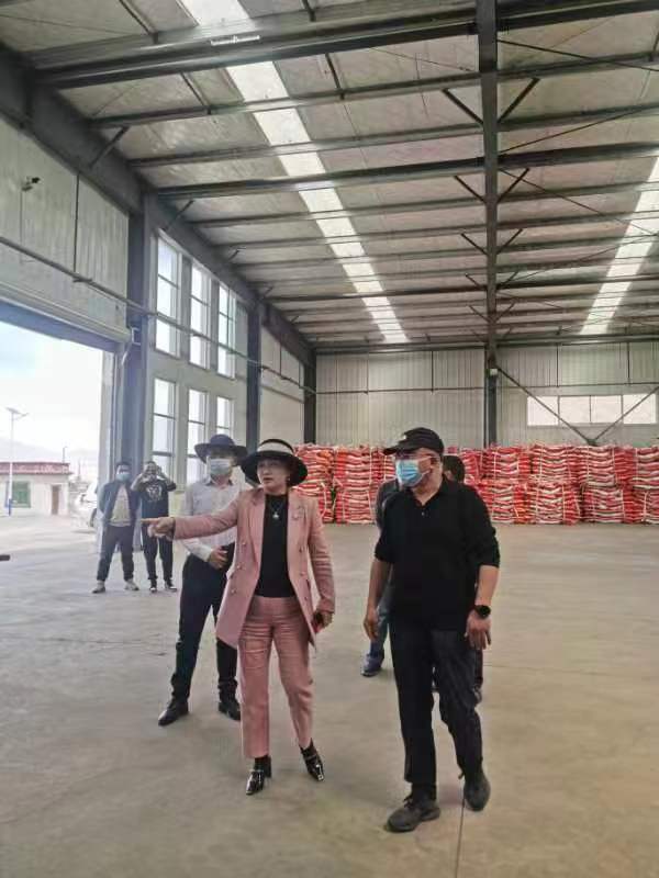 3377体育-全网最全最有态度的体育赛事直播平台