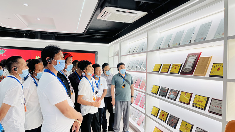 3377体育-全网最全最有态度的体育赛事直播平台
