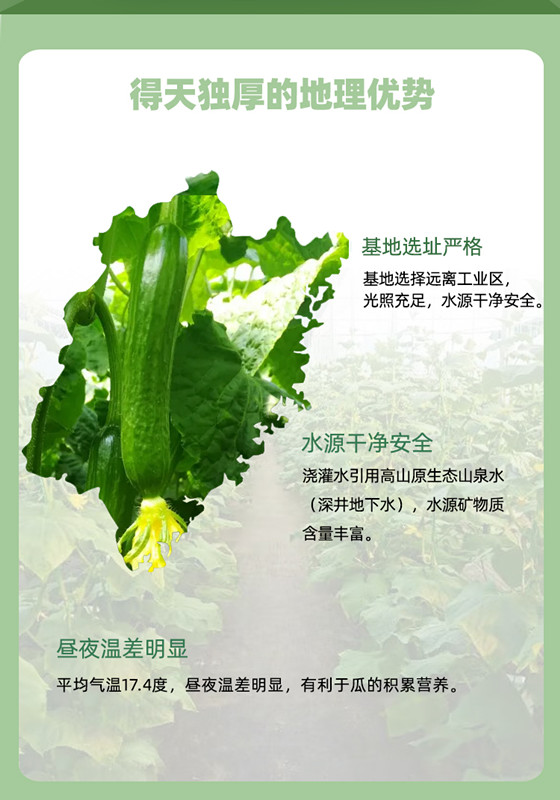3377体育-全网最全最有态度的体育赛事直播平台