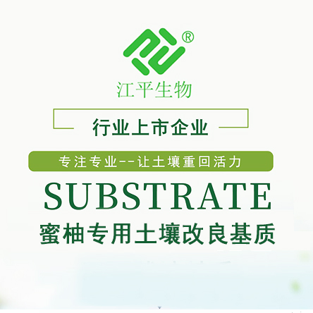 3377体育-全网最全最有态度的体育赛事直播平台