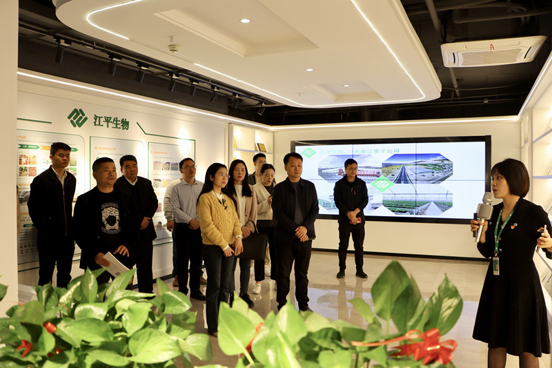 3377体育-全网最全最有态度的体育赛事直播平台