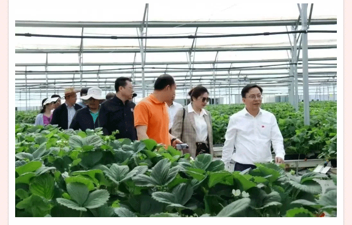 3377体育-全网最全最有态度的体育赛事直播平台